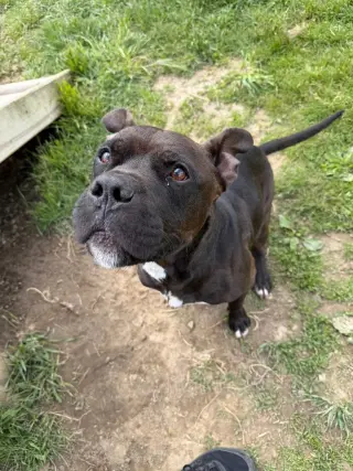 Reaper - Long Term Resident-Sponsored