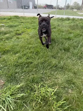 Reaper - Long Term Resident-Sponsored