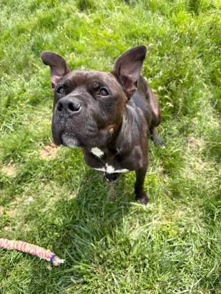 Reaper - Long Term Resident-Sponsored