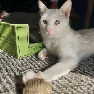 Beni