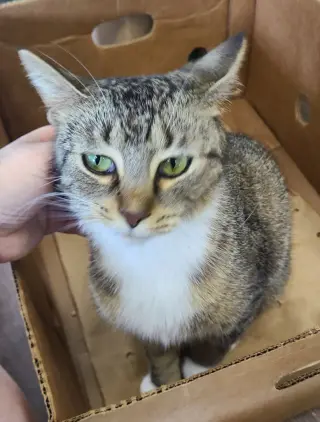 Salem