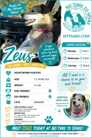 Zeus