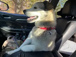 Zeus