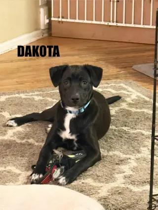 Dakota
