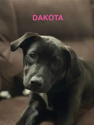Dakota