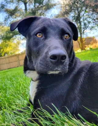 Zoey