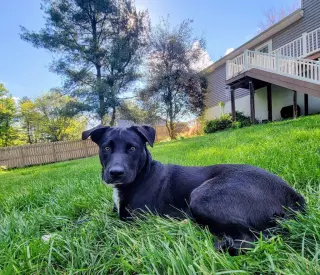 Zoey