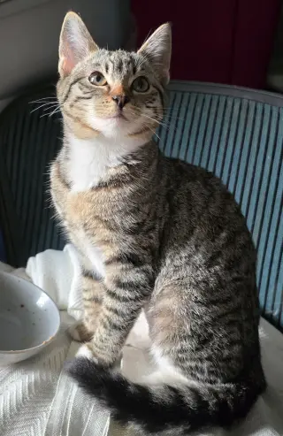 Luna