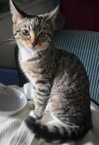 Luna
