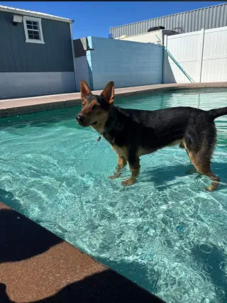 LOKI #12
