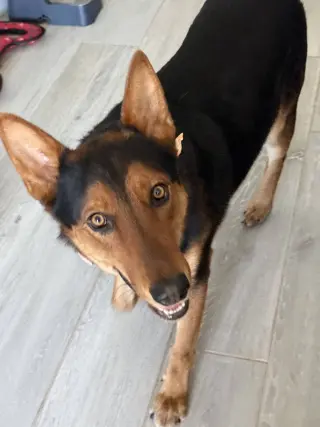 LOKI #12