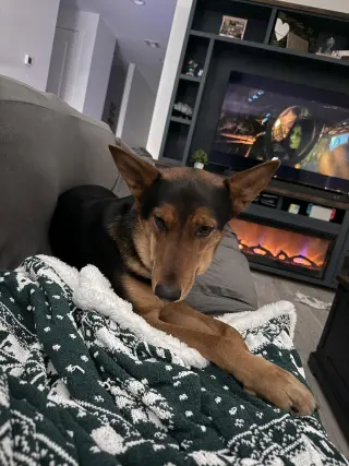 LOKI #12