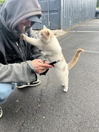Chester