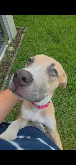 Bubbles