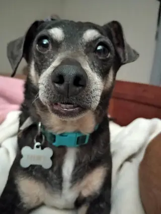 Huey