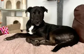 Ernie
