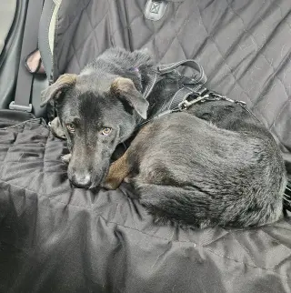 Ernie