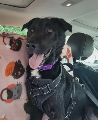 Ernie