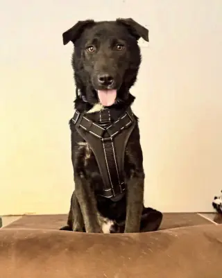Ernie