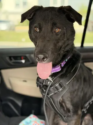 Ernie
