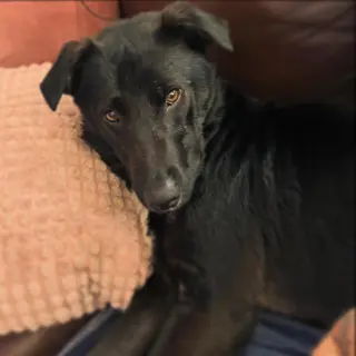 Ernie
