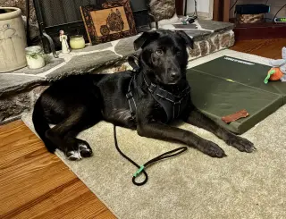Ernie
