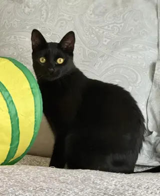 Minnie