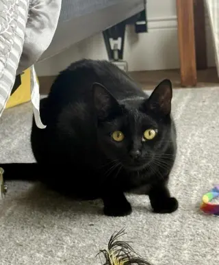 Minnie