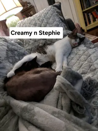 Creamy