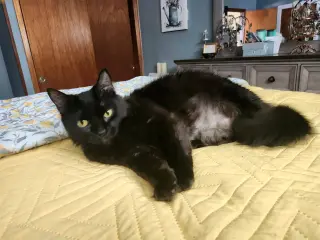 Teagan