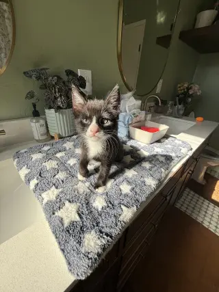 Finnegan
