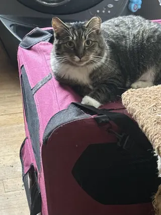 Luna and Max Bonded