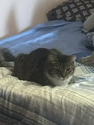 Luna and Max Bonded