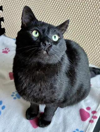 Esteban