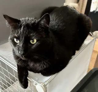 Esteban