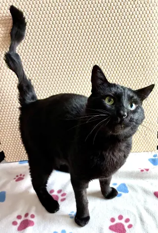 Esteban