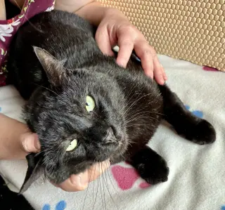 Esteban