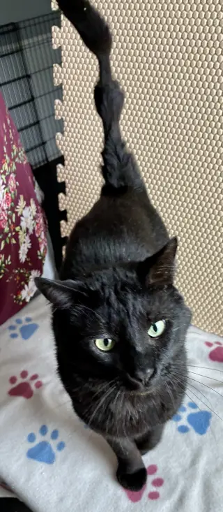 Esteban