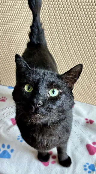 Esteban