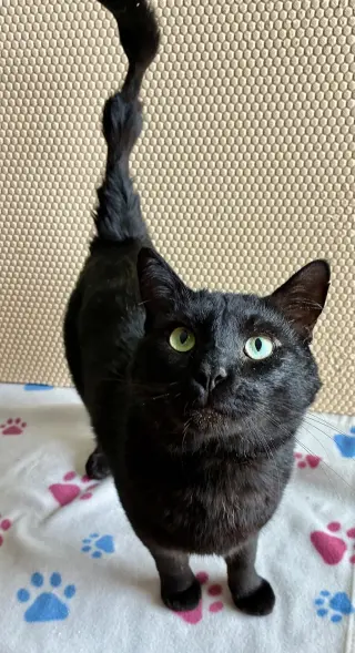 Esteban