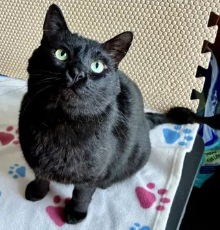Esteban