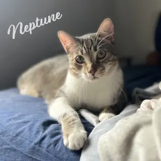 Neptune #bestie-of-Mars