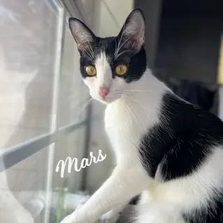 Mars #bestie-of-Neptune