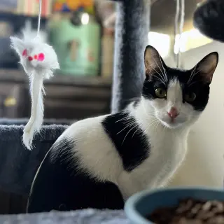 Mars #bestie-of-Neptune