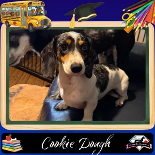 Cookie Dough