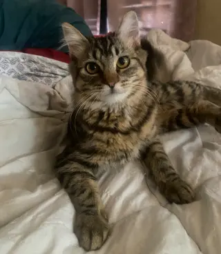 Ruby