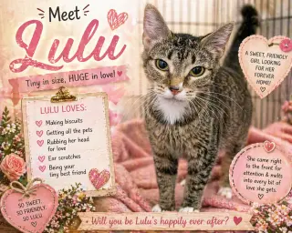 Lulu w/ mom Mios (FCID# 04/16/2026 - 17) C