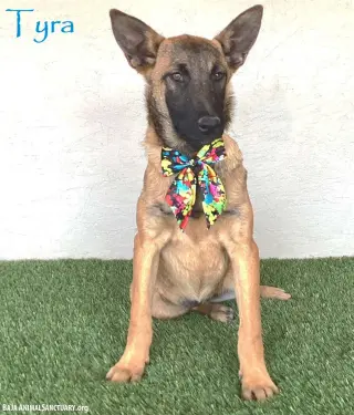 Tyra