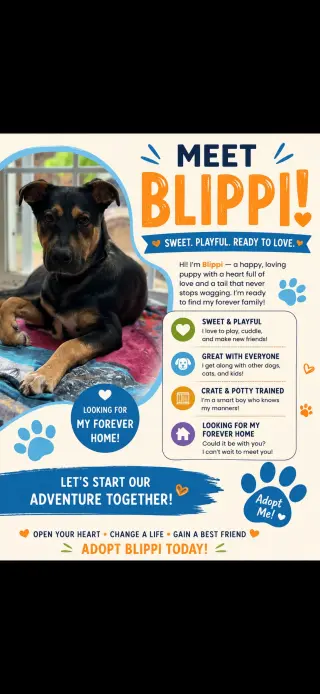 BLIPPI
