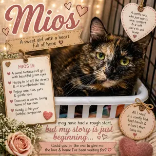 Mios w/daughter Lulu (FCID# 04/16/2026 - 14) C